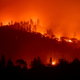Illustration for article titled As California Is Engulfed in Flames, Celebrities Unload on Trump for Remaining as Callous as Ever